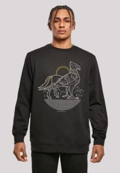 F4NT4STIC Harry Potter Buckbeak Line Art - Sweater - Black