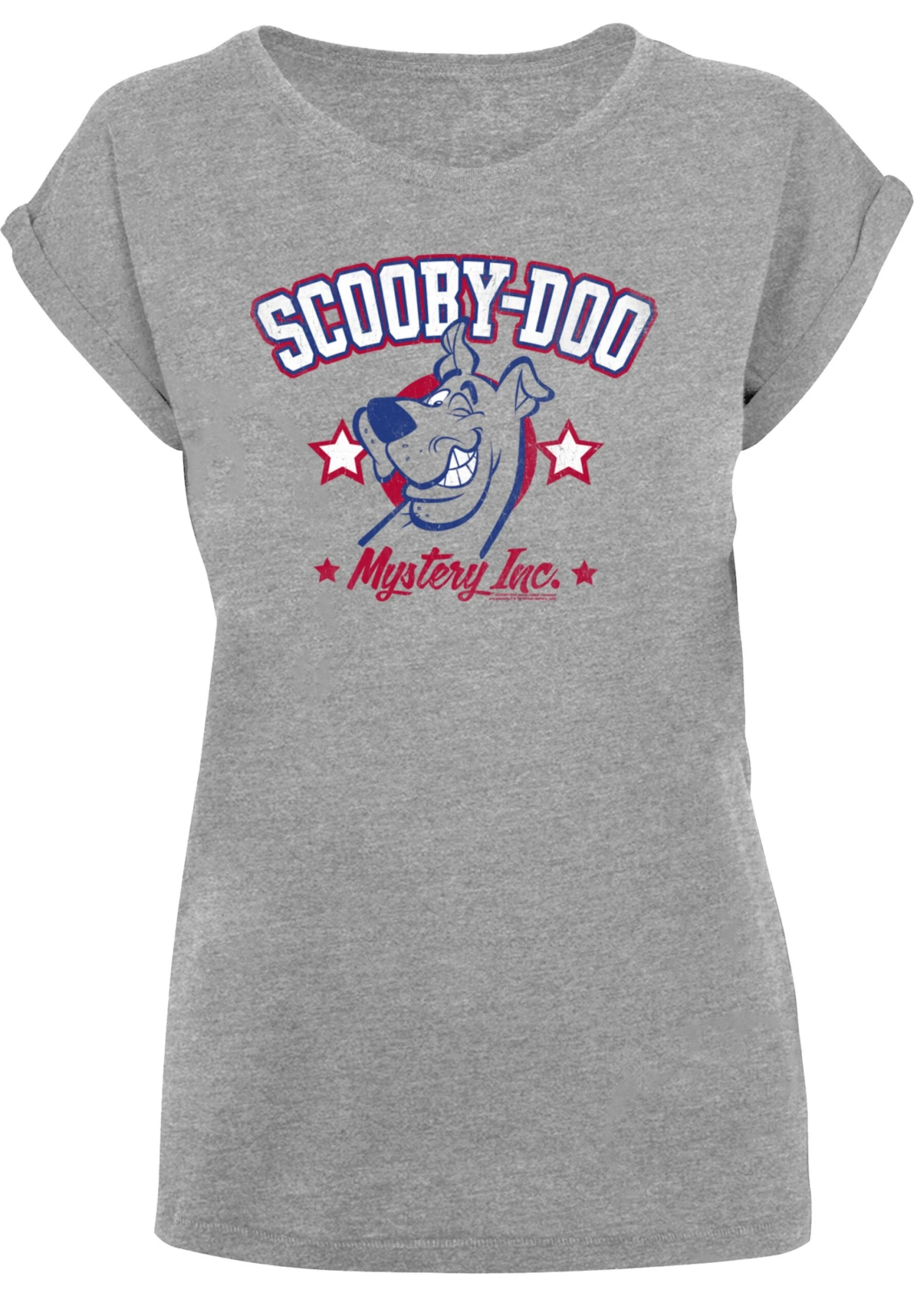 F4NT4STIC Scooby Doo Collegiate Mystery Inc - T-Shirt Print -Grey 8 F4NT4STIC Scooby Doo Collegiate Mystery Inc - T-Shirt Print -Grey - Afbeelding 6