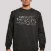 F4NT4STIC Phantastische Tierwesen - Sweater - Black -Olivia 4d6781b446a0465f953138b6a39bbd7b