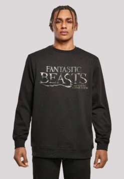F4NT4STIC Phantastische Tierwesen - Sweater - Black
