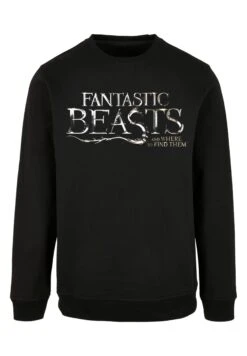 F4NT4STIC Phantastische Tierwesen - Sweater - Black -Olivia 80665f22e53f49f1bfae528e3b0a6a4f