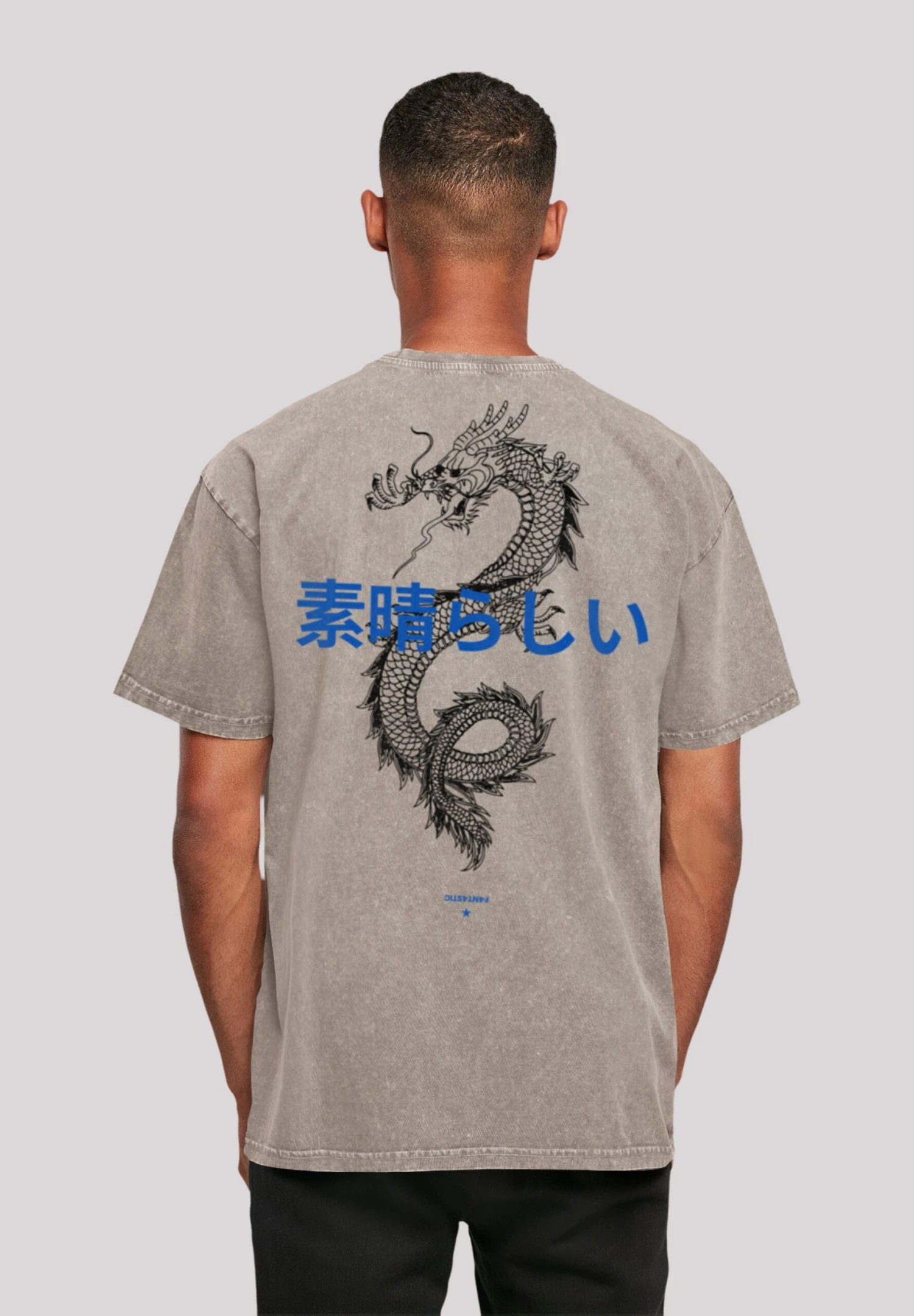 F4NT4STIC Drache - T-Shirt Print - Asphalt 3 F4NT4STIC Drache - T-Shirt Print - Asphalt